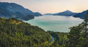 গামা ফাউন্ডেশন