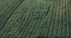 আয়োটা ব্যাংক