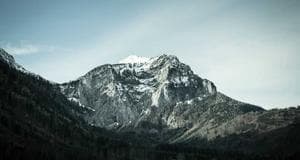 মিউ ফুডস